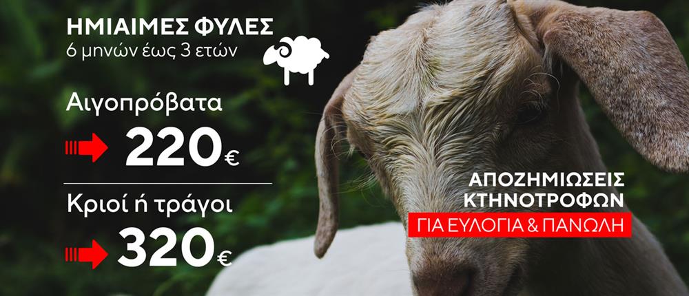 Αποζημιώσεις κτηνοτρόφων