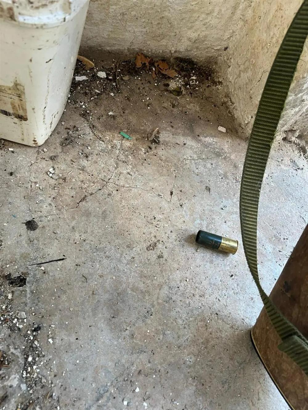 βοριζια - οπλα