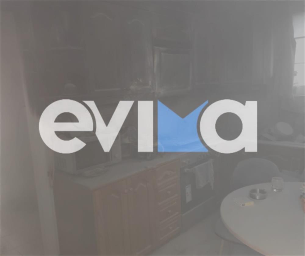 Χαλκίδα - φωτιά