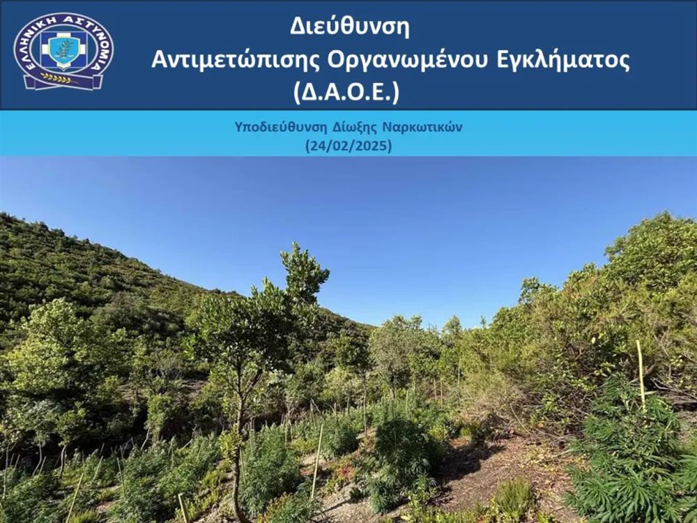 ΕΥΒΟΙΑ - ΝΑΡΚΩΤΙΚΑ
