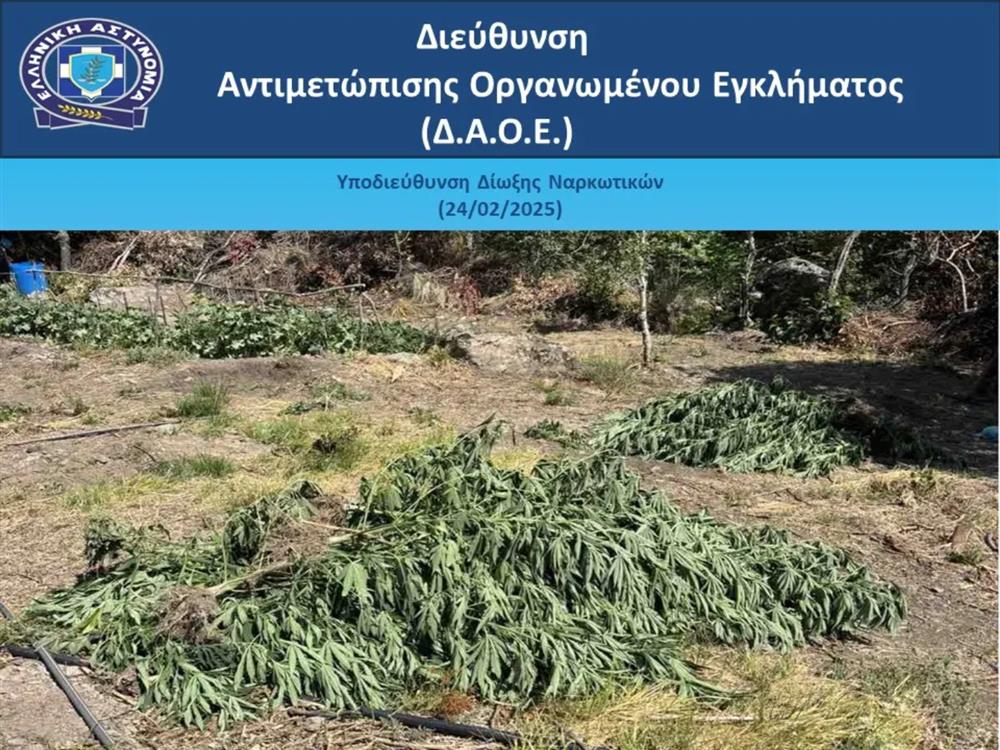 ΕΥΒΟΙΑ - ΝΑΡΚΩΤΙΚΑ