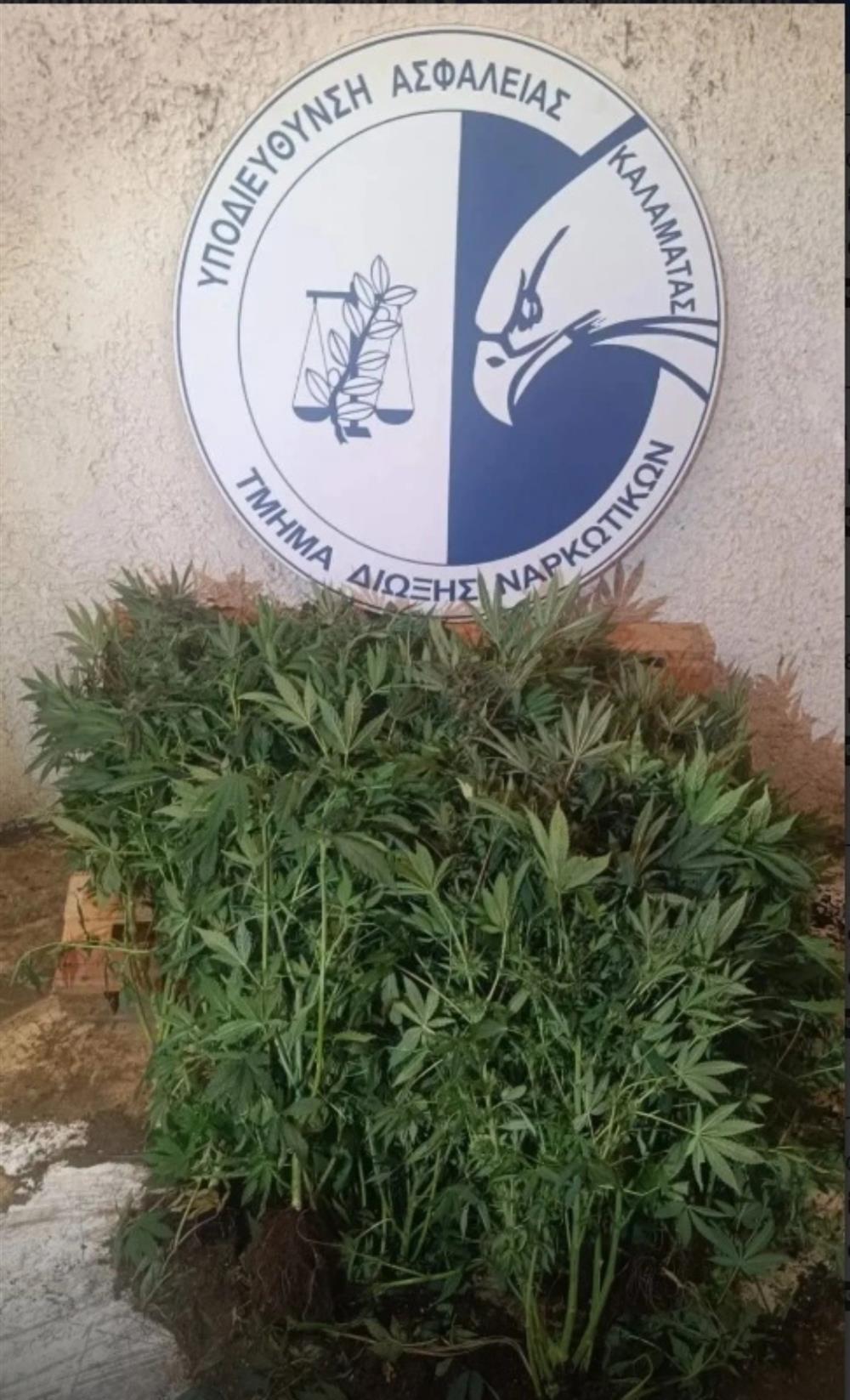 καλαματα - ναρικωτικα