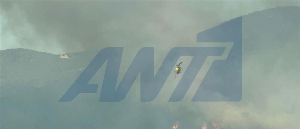 Θεσσαλονίκη: Φωτιά στην Μεγάλη Βόλβη