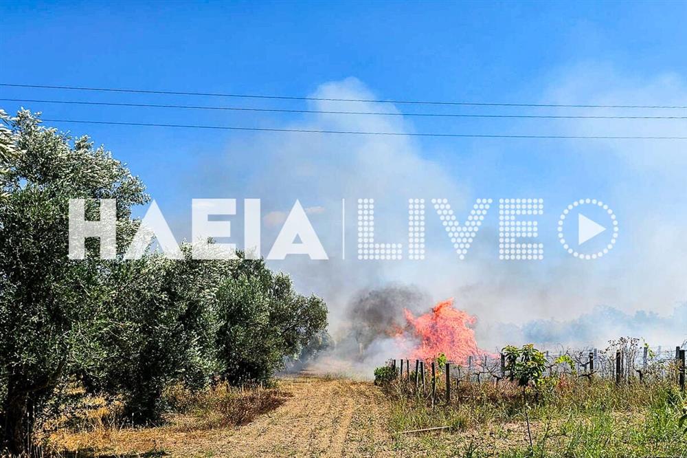 Ηλεία - Καρδαμάς - φωτιά Ηλεία - Καρδαμάς - φωτιά