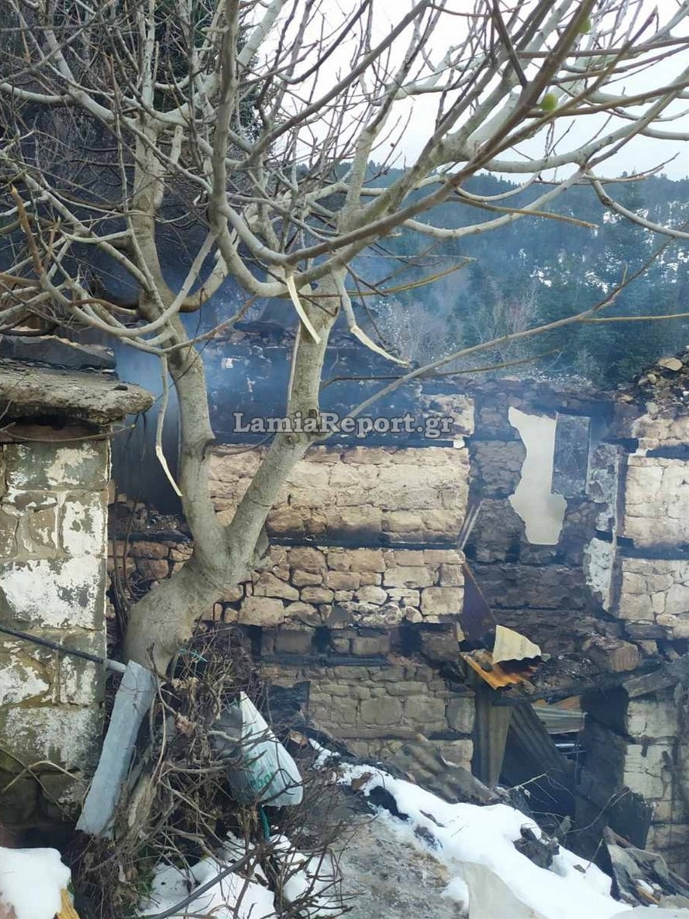 Φθιώτιδα - φωτιά