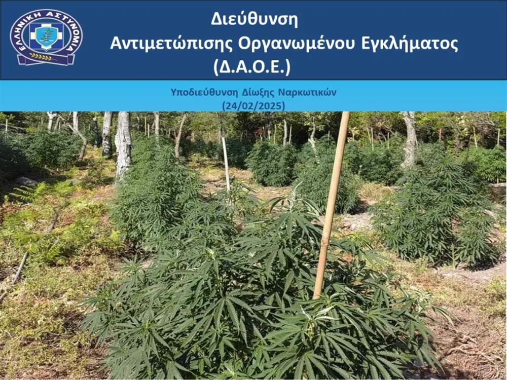 ΕΥΒΟΙΑ - ΝΑΡΚΩΤΙΚΑ