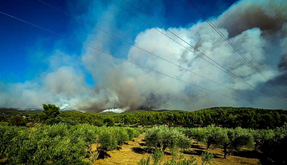 Εύβοια - Φωτιά