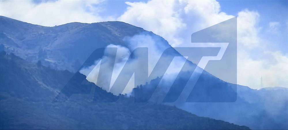Φωτιά στην Αχαΐα