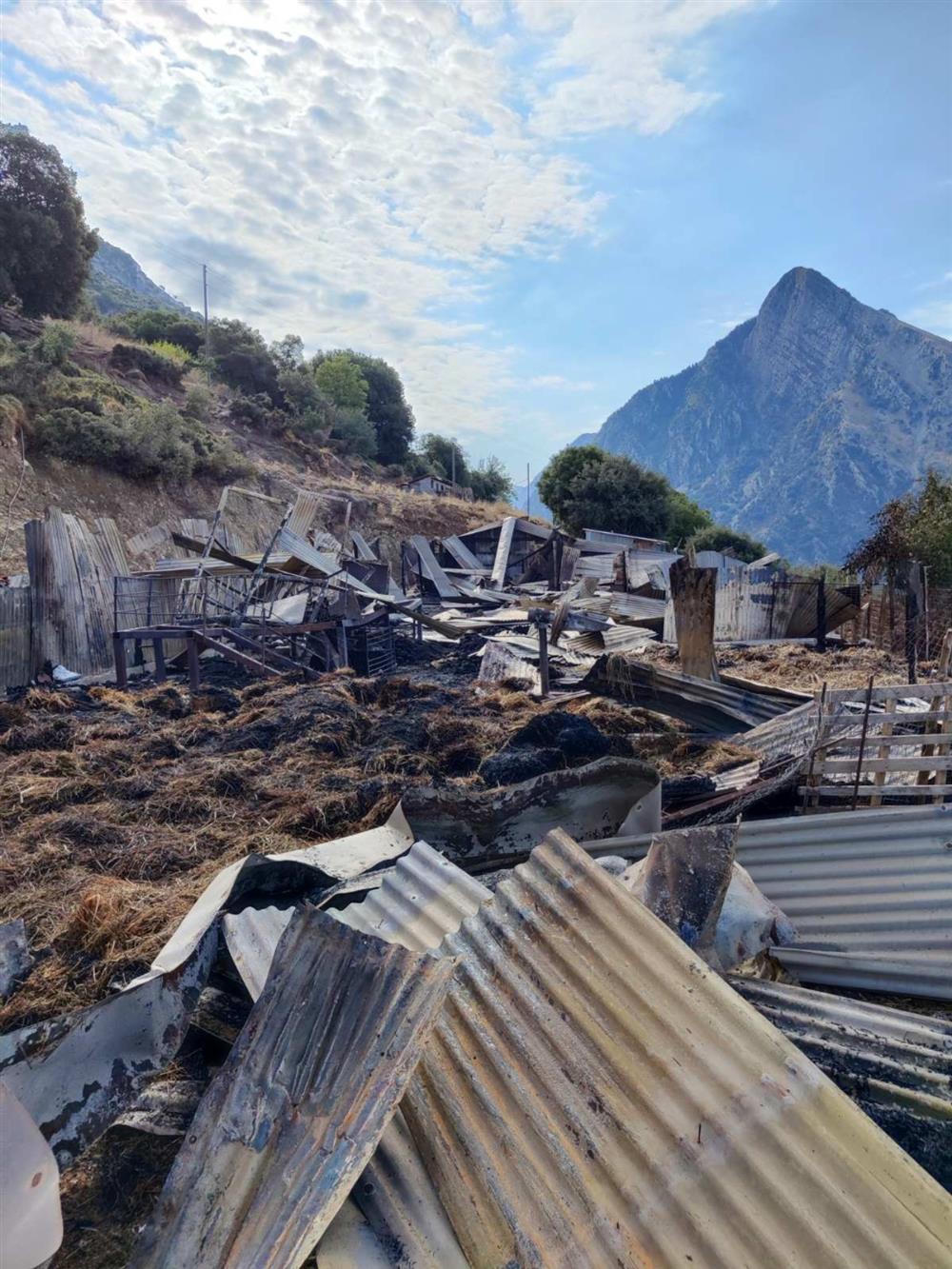 Αιτωλοακαρνανία - Εμπεσός - Κτηνοτροφική μονάδα