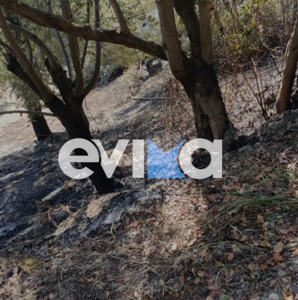 Φωτιά - Εύβοια Φωτιά - Εύβοια