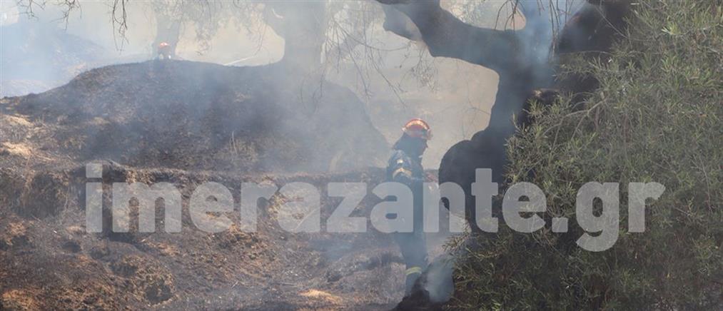 Φωτιά στη Ζάκυνθο - Έσπευσαν και αεροσκάφη (εικόνες)
