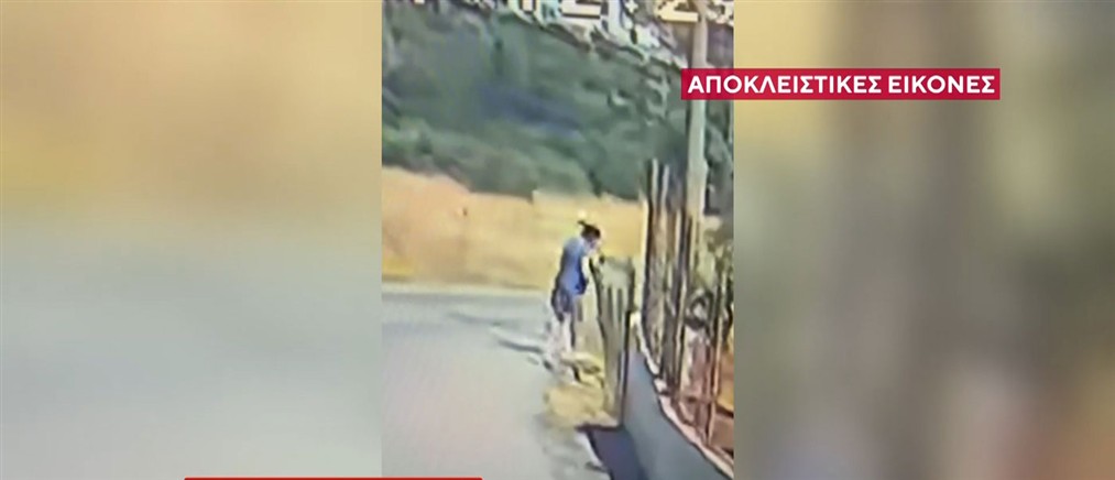 Φωτιά - Κερατέα: Βίντεο ντοκουμέντο από τη δράση της 43χρονης - "Έβαλα φωτιά για να μην ξεσπάσω στα παιδιά μου"