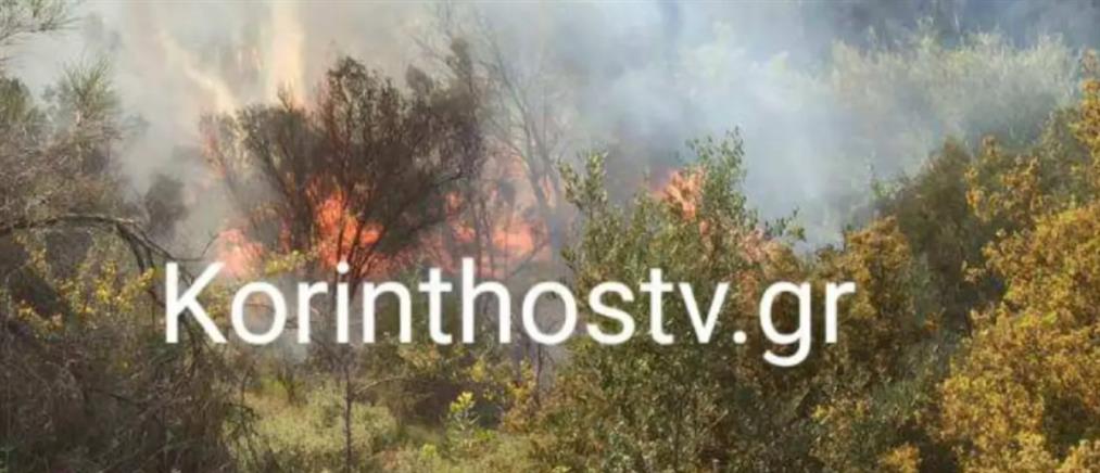 Λουτράκι: Φωτιά σε δασική έκταση (εικόνες)