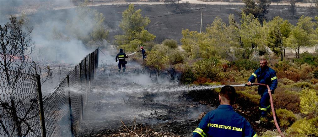 Φωτιά στα Χανιά: Στη “μάχη” και εναέρια μέσα 