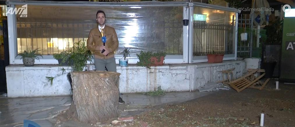 Μοναστηράκι: Τεράστιος κορμός δέντρου έπεσε δίπλα σε τραπεζοκαθίσματα