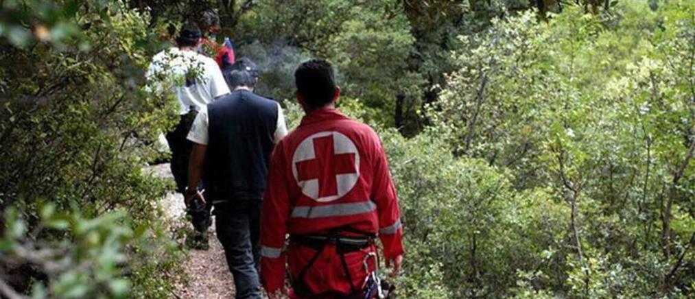 Μακρινίτσα: Επιχείρηση διάσωσης τουριστών που χάθηκαν κάνοντας πεζοπορία