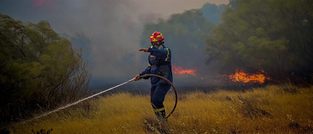 Φωτιά στη Μάνη: Και ενάερια μέσα στη μάχη της κατάσβεσης