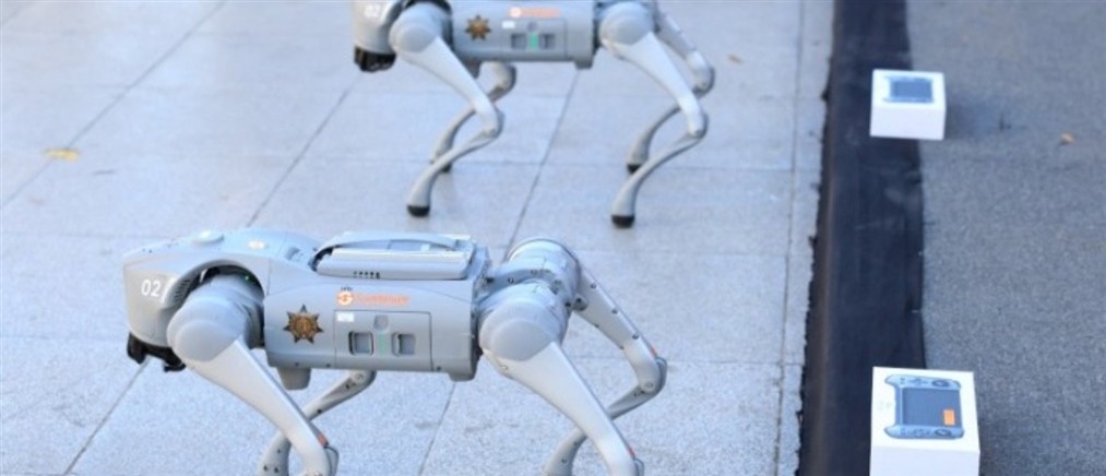 Ρομπότ - σκύλοι στο Μεξικό, για το Μουντιάλ 2026