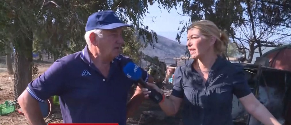 Πυρκαγιά στο Ακραίφνιο Βοιωτίας: Ιδιοκτήτες κτηνοτροφικών μονάδων μιλούν στον ΑΝΤ1 - Στάχτη οι κόποι τους
