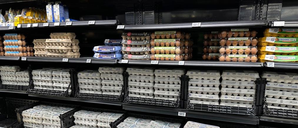 Ελληνικά αυγά: Βρέθηκαν χημικές ουσίες και φυτοφάρμακα
