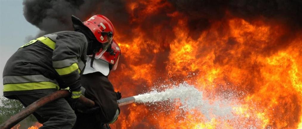 Φθιώτιδα: Φωτιά στον Άγιο Κωνσταντίνο