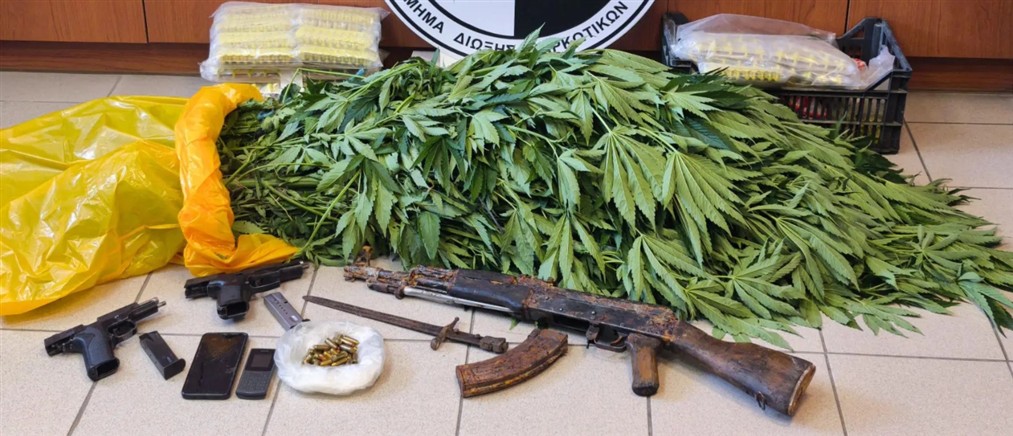 Κρήτη: Συλλήψεις για καλλιέργεια δενδρυλλίων κάνναβης και κατοχή πολεμικού υλικού