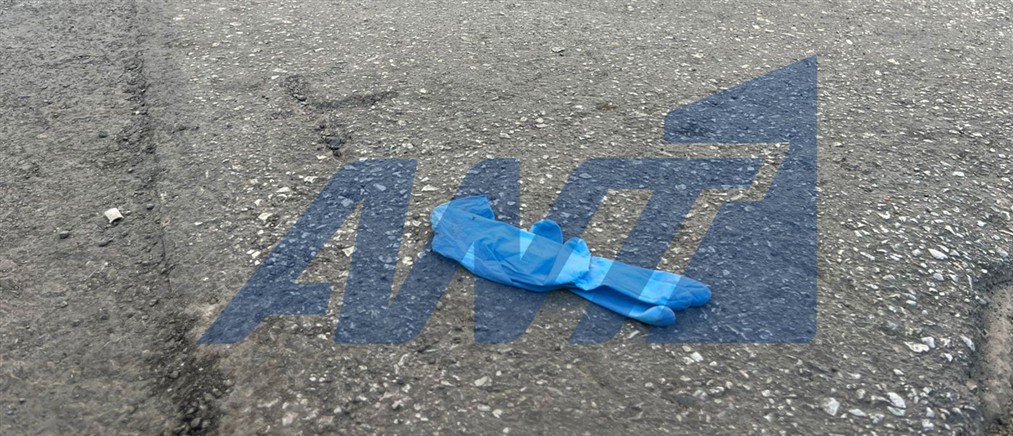 Αυτόπτης μάρτυρας στο Καλημέρα Ελλάδα για τη δολοφονία στην Καλλιθέα: Είδα ένα παλικάρι αιμόφυρτο και από πάνω του, τους  αστυνομικούς