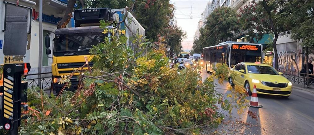 Αθήνα: Δέντρο έπεσε πάνω σε αυτοκίνητο (βίντεο)