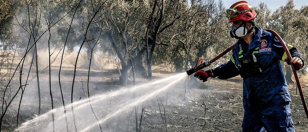 Ξάνθη: Συνελήφθη άνδρας για 11 εμπρησμούς