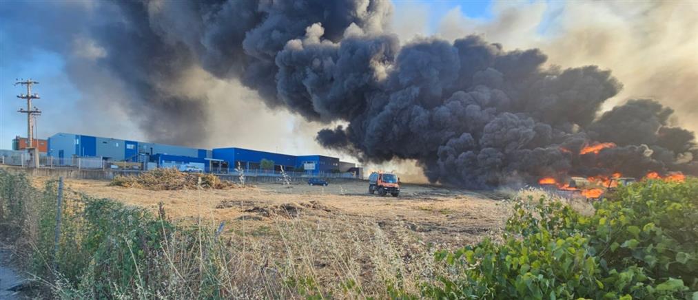 Ριτσώνα Ευβοίας: Η φωτιά πλησιάζει δεύτερο εργοστάσιο (εικόνες)