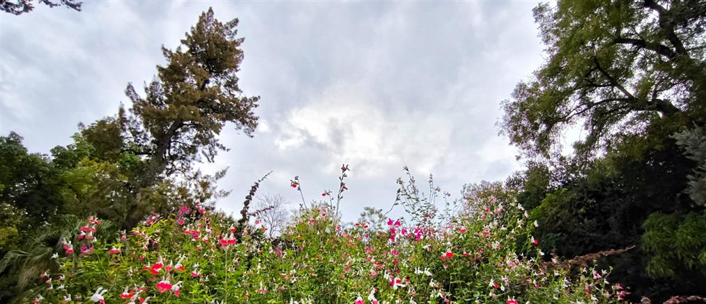 Τι καιρό θα κάνει την Τετάρτη