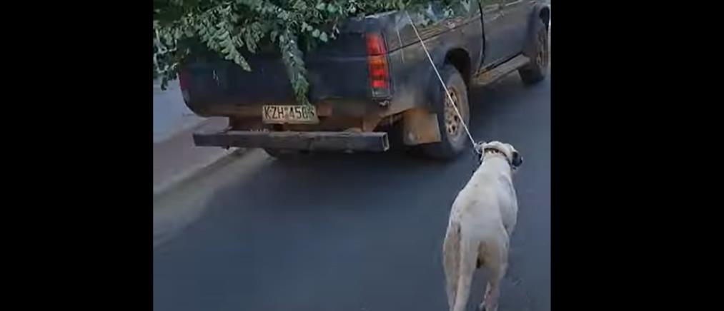 Κοζάνη: Άνδρας έδεσε σκύλο με σχοινί στο αγροτικό και τον έσερνε (βίντεο)