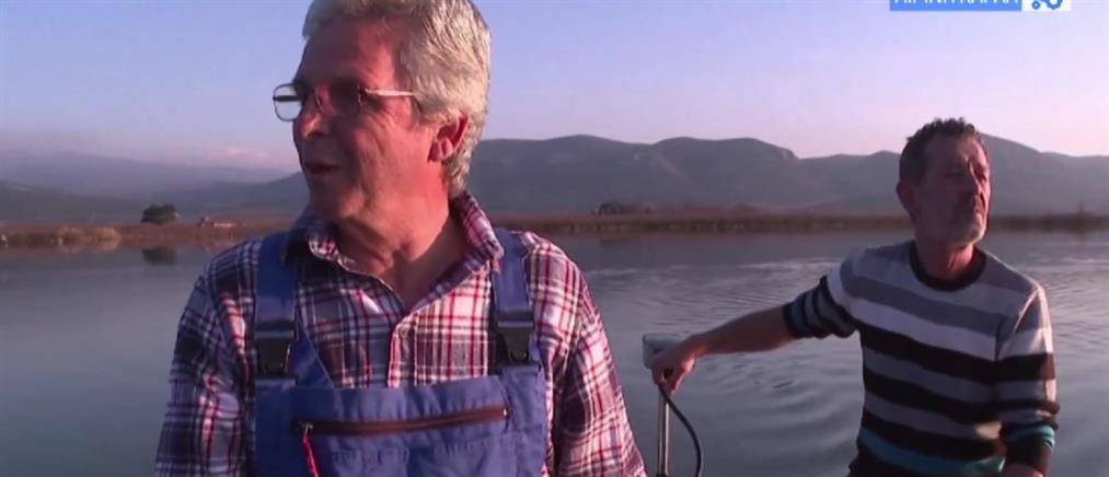 Αγρότες: απόγνωση στις περιοχές γύρω από την λίμνη Κάρλα (βίντεο)