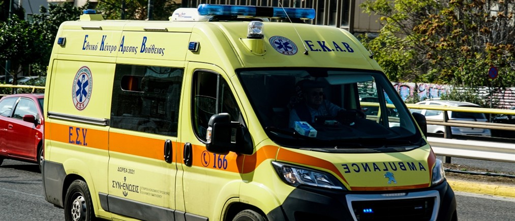 Πιερία: Τουρίστρια δέχθηκε επίθεση από αγέλη σκύλων - Υποβλήθηκε σε χειρουργική επέμβαση