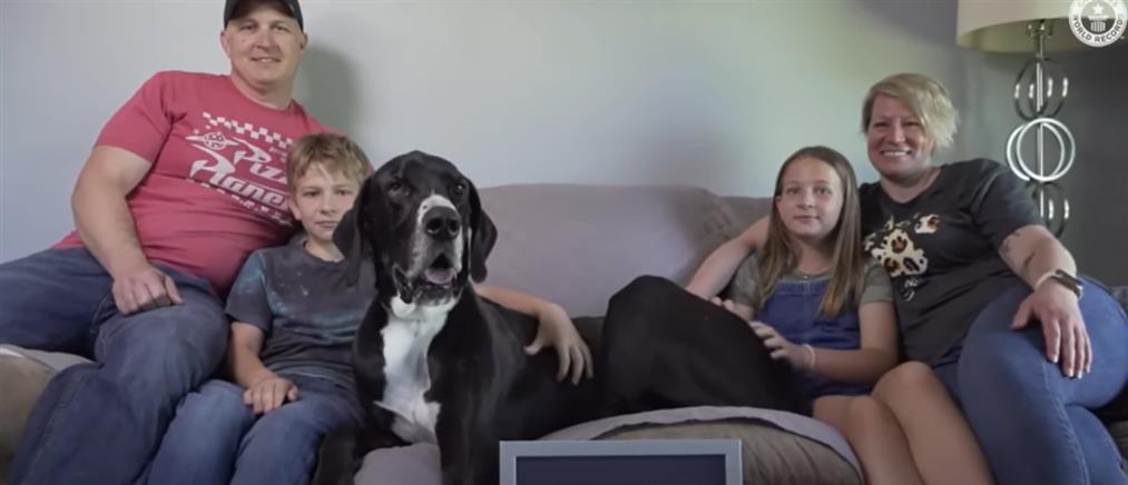 ΗΠΑ: Πέθανε ο ψηλότερος αρσενικός σκύλος του πλανήτη (εικόνες)
