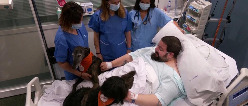 Βαρκελώνη: Σκύλοι θεραπείας φέρνουν χαμόγελο σε ασθενείς της εντατικής (βίντεο)