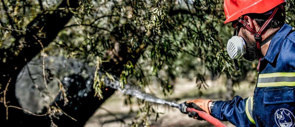 Πυροσβεστική: 30 αγροτοδασικές πυρκαγιές το τελευταίο 24ωρο
