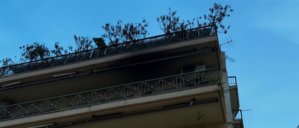 Θεσσαλονίκη: Νεκρή βρέθηκε γυναίκα σε φλεγόμενο διαμέρισμα