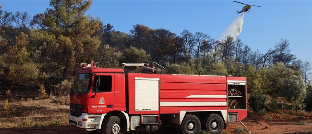 Χαλκιδική: Απαγόρευση κυκλοφορίας λόγω υψηλού κινδύνου πυρκαγιάς