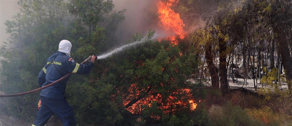 Πυρκαγιά σε αγροτοδασική έκταση στη Λακωνία