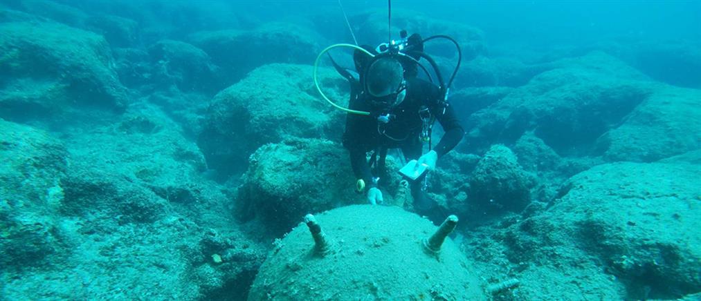 Αχαΐα: Ψάρεψαν νάρκη 250 κιλά στον Πατραϊκό