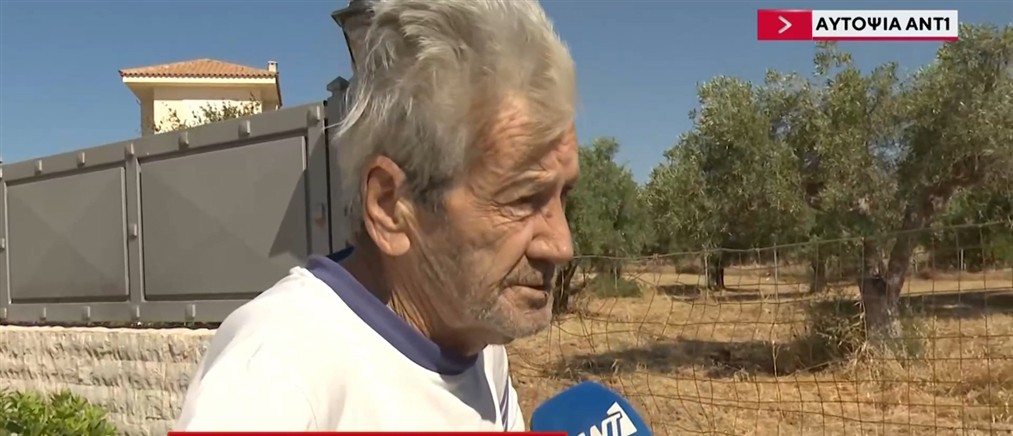 Αυτοψία ΑΝΤ1: Οικόπεδα παραμένουν πνιγμένα στα χόρτα - Εκπνέει η προθεσμία για τον καθαρισμό τους