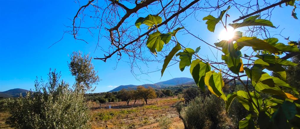 Τι καιρό θα κάνει τη Δευτέρα