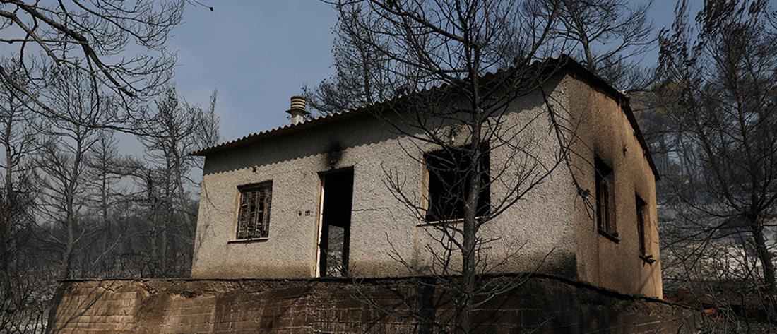 Φωτιά στα Βίλια: Κάηκαν σπίτια, μαίνεται το πύρινο μέτωπο (βίντεο)