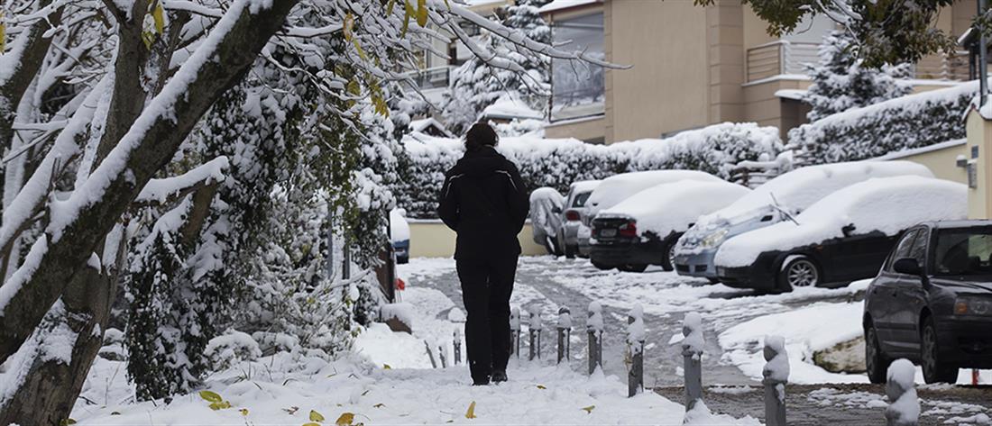 Στα λευκά η Βόρεια Ελλάδα: Έπεσαν τα πρώτα χιόνια (εικόνες)