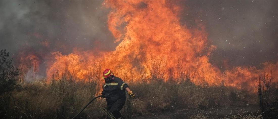Τρίκαλα: Πυροσβέστης τραυματίστηκε σε φωτιά