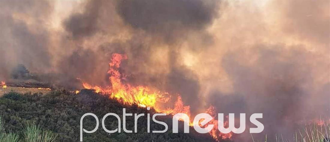 Φωτιά στην Ηλεία: “άνιση μάχη” με τον άνεμο - ενισχύθηκαν οι δυνάμεις (εικόνες)