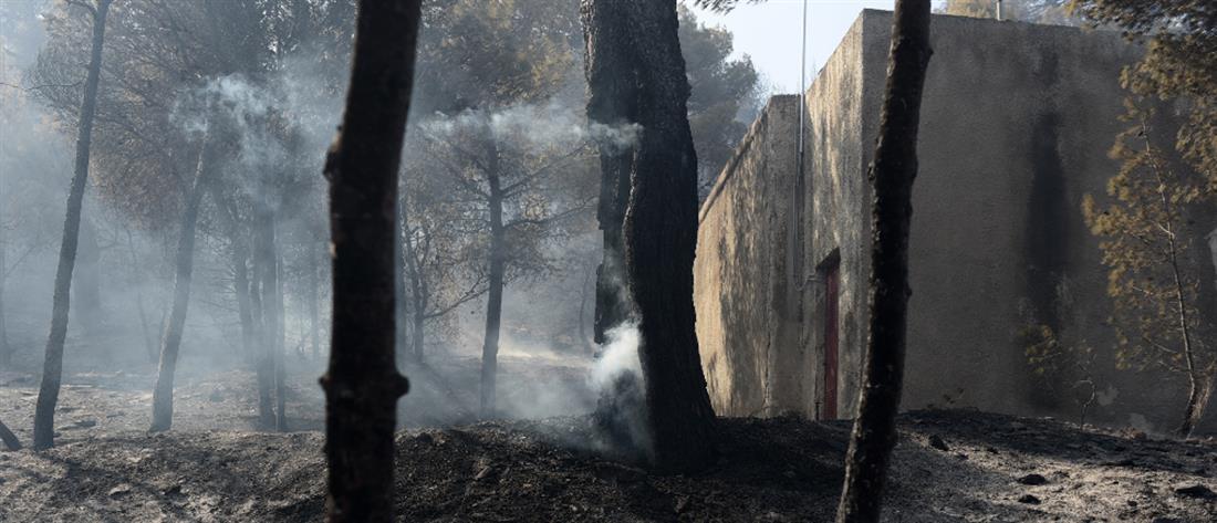 Φωτιά στην Κερατέα: σε ύφεση το πύρινο μέτωπο