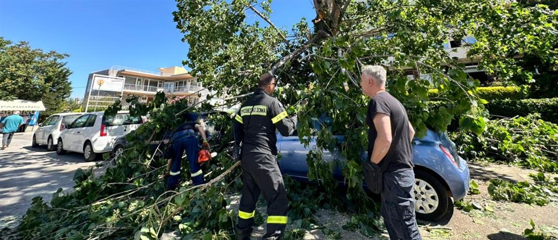 Θεσσαλονίκη: Δεκάδες κλήσεις για κοπές δέντρων λόγω ισχυρών ανέμων 