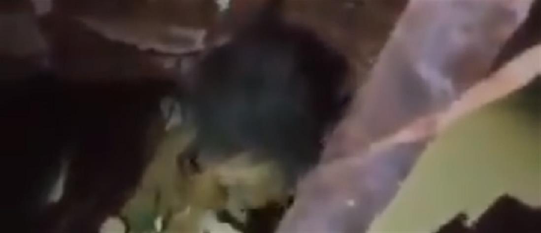 Βηρυτός: καρέ-καρέ η διάσωση παιδιού κάτω από τα χαλάσματα (βίντεο)